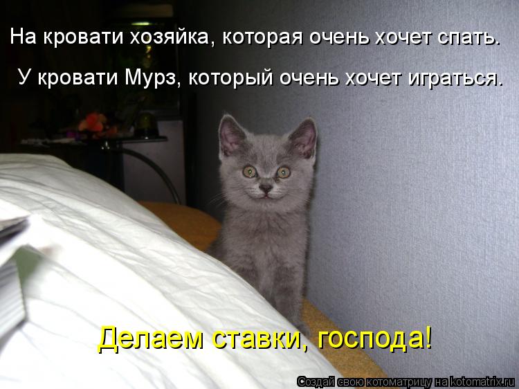 Котоматрица: На кровати хозяйка, которая очень хочет спать.  У кровати Мурз, который очень хочет играться. Делаем ставки, господа!