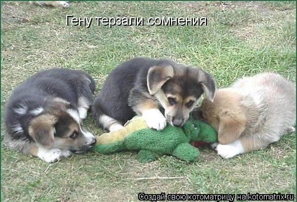 Котоматрица: Гену терзали сомнения