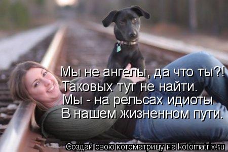 Котоматрица: Мы не ангелы, да что ты?! Таковых тут не найти. В нашем жизненном пути. Мы - на рельсах идиоты