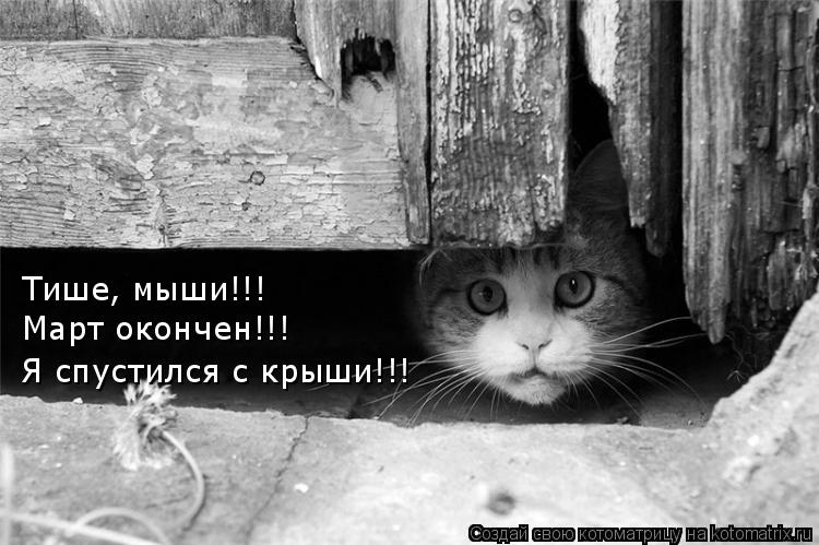 Котоматрица: Тише, мыши!!! Март окончен!!! Я спустился с крыши!!!
