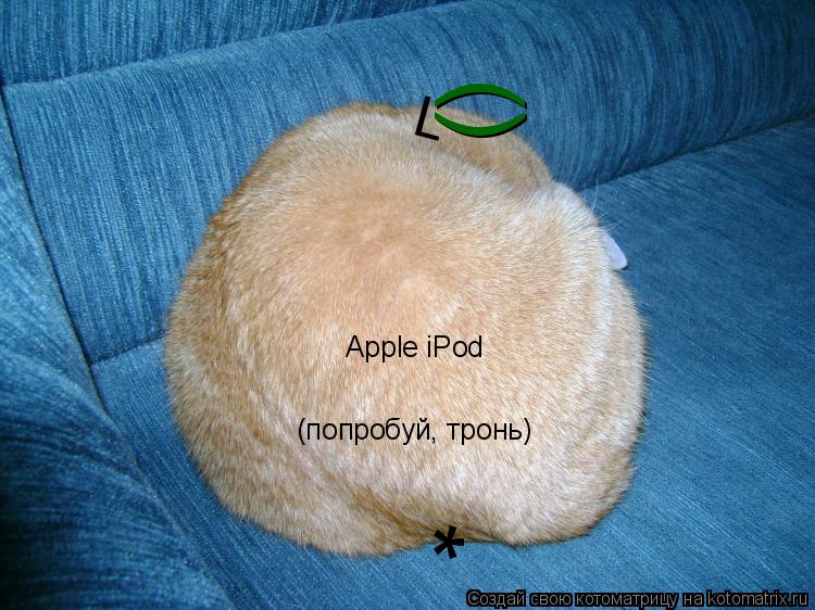Котоматрица: L () * Apple iPod  (попробуй, тронь)