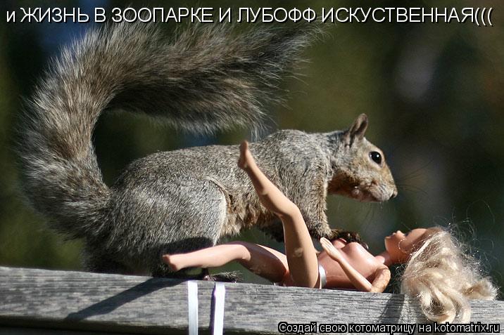Котоматрица: и ЖИЗНЬ В ЗООПАРКЕ И ЛУБОФФ ИСКУСТВЕННАЯ(((