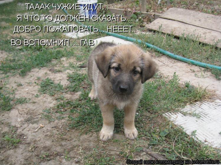 Котоматрица: ТАААК ЧУЖИЕ ИДУТ... Я ЧТО ТО ДОЛЖЕН СКАЗАТЬ... ДОБРО ПОЖАЛОВАТЬ... НЕЕЕТ.. ВО ВСПОМНИЛ ....ГАВ