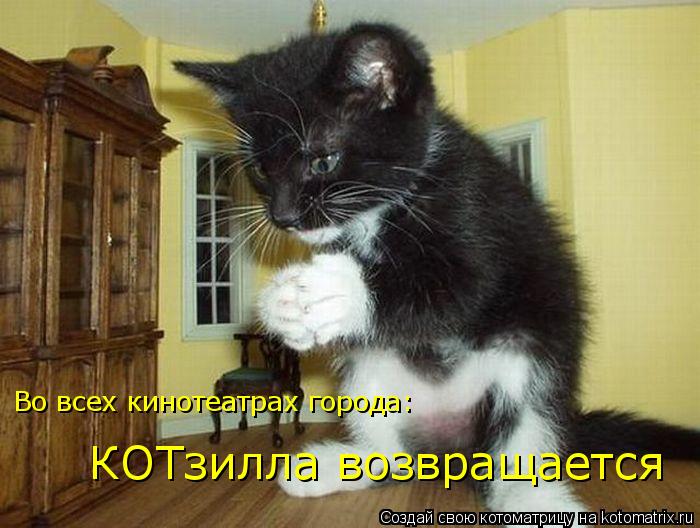 Котоматрица: КОТзилла возвращается Во всех кинотеатрах города: