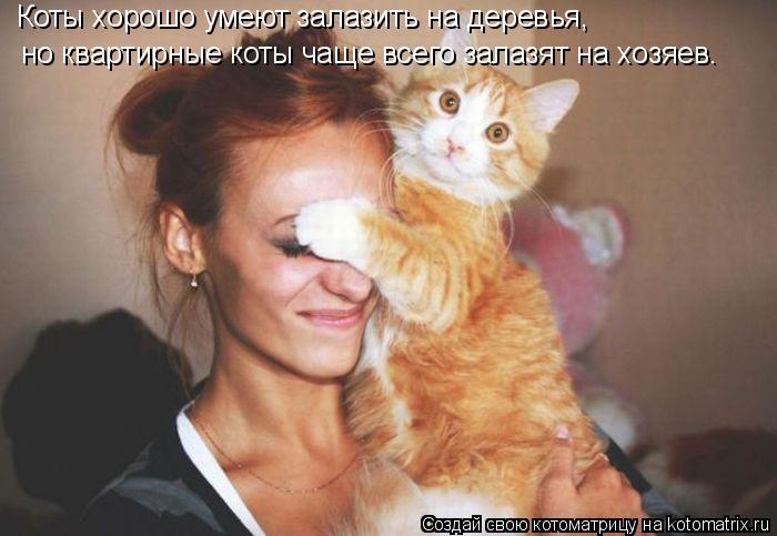 Котоматрица: Коты хорошо умеют залазить на деревья,  но квартирные коты чаще всего залазят на хозяев.