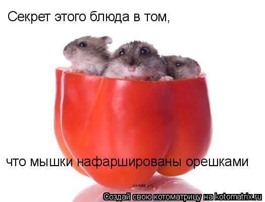 Котоматрица: Секрет этого блюда в том, что мышки нафаршированы орешками