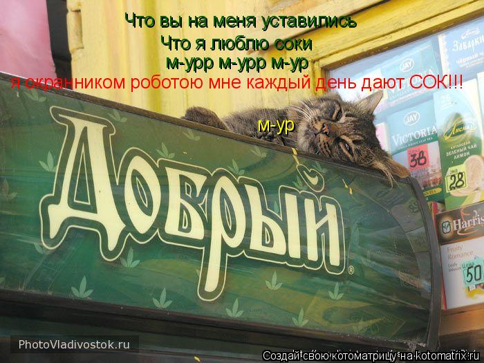 Котоматрица: Что вы на меня уставились Что я люблю соки м-урр м-урр м-ур я окранником роботою мне каждый день дают СОК!!! м-ур