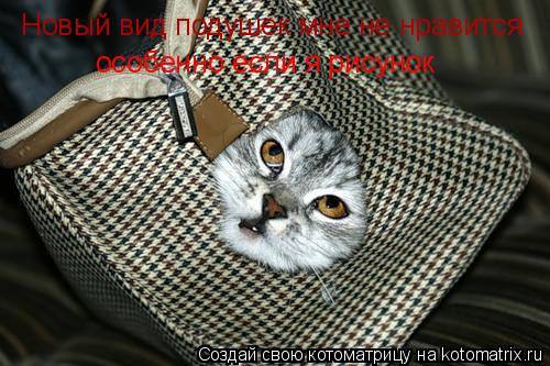 Котоматрица: Новый вид подушек мне не нравится особенно если я рисунок