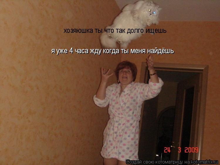 Котоматрица: хозяюшка ты что так долго ищешь я уже 4 часа жду когда ты меня найдёшь