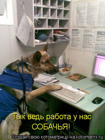 Тык ведь работа у нас СОБАЧЬЯ!... Котоматрица: Тык ведь работа у нас СОБАЧЬЯ!