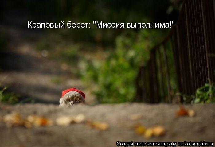 Котоматрица: Краповый берет: "Миссия выполнима!"