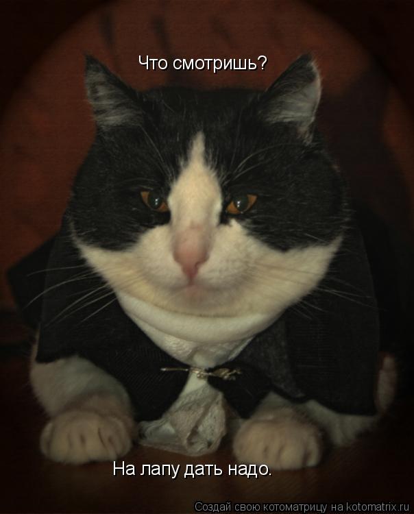 Котоматрица: Что смотришь? На лапу дать надо.
