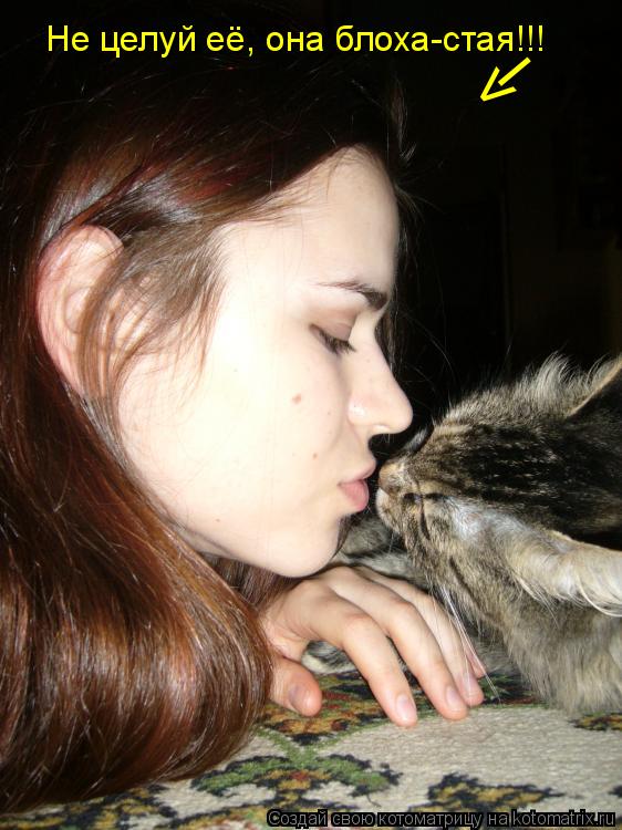 Котоматрица: Не целуй её, она блоха-стая!!! < _