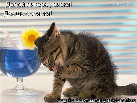 Котоматрица: Долой ликеры, виски! Даёшь сосиски!