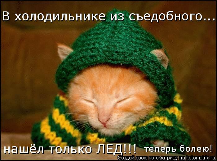 Котоматрица: В холодильнике из съедобного... нашёл только ЛЕД!!! теперь болею!