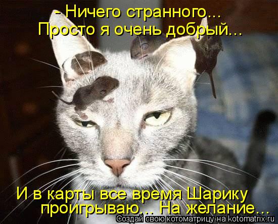 Котоматрица: - Ничего странного... Просто я очень добрый... И в карты все время Шарику проигрываю... На желание...