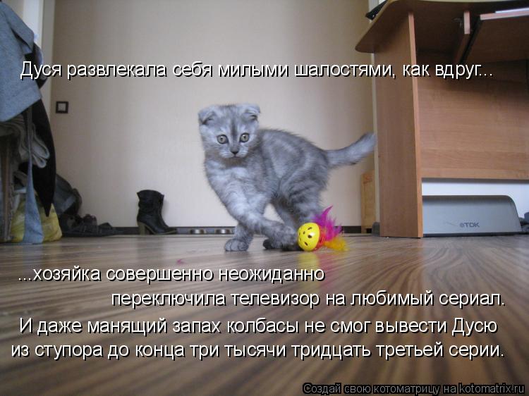Котоматрица: Дуся развлекала себя милыми шалостями, как вдруг...  ...хозяйка совершенно неожиданно  переключила телевизор на любимый сериал. И даже манящи