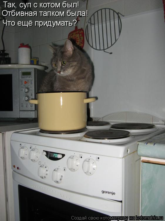 Так, суп с котом был! Отбивная тапком была! Что ещё придумать?... Котоматрица: Так, суп с котом был! Отбивная тапком была! Что ещё придумать?