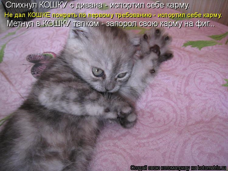 Котоматрица: Спихнул КОШКУ с дивана - испортил себе карму. Не дал КОШКЕ пожрать по первому требованию - испортил себе карму. Метнул в КОШКУ тапком - запоро