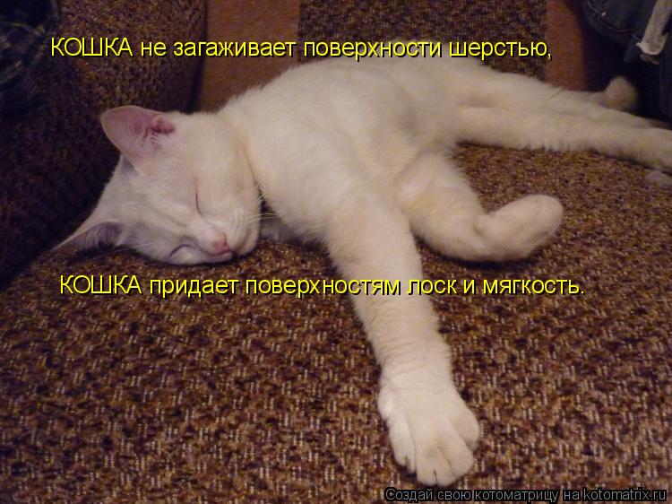 Котоматрица: КОШКА не загаживает поверхности шерстью,  КОШКА придает поверхностям лоск и мягкость.