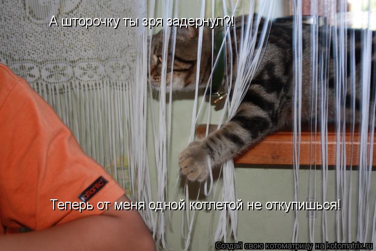 Котоматрица: А шторочку ты зря задернул?! Теперь от меня одной котлетой не откупишься!
