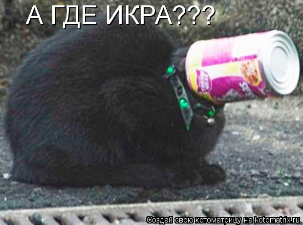 Котоматрица: А ГДЕ ИКРА???