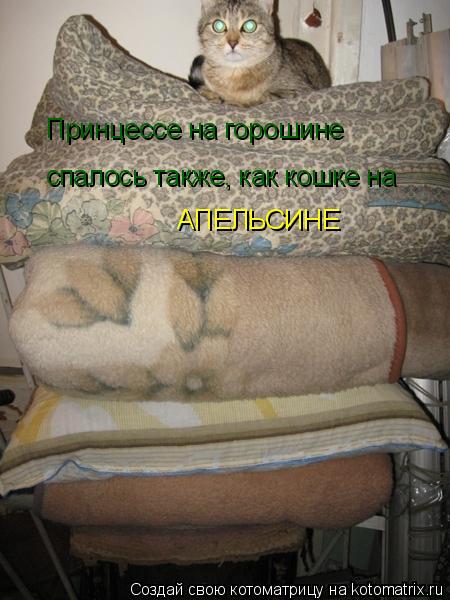 Принцессе на горошине спалось также, как кошке на АПЕЛЬСИНЕ... Котоматрица: Принцессе на горошине спалось также, как кошке на АПЕЛЬСИНЕ