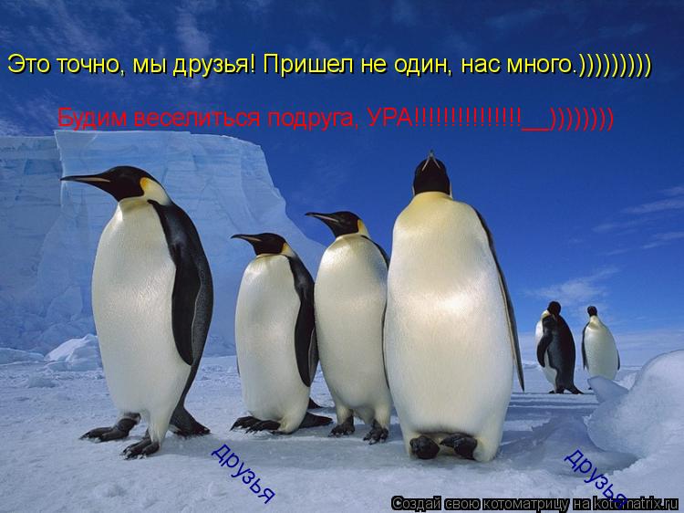 Это точно, мы друзья! Пришел не один, нас много. Это точно, мы друзья! Пришел не один, нас много.))))... Котоматрица: Это точно, мы друзья! Пришел не один, нас много. Это точно, мы друзья! Пришел не один, нас много.))))))))) Будим веселиться подруга, УРА!!!!!!!!!!!!!!