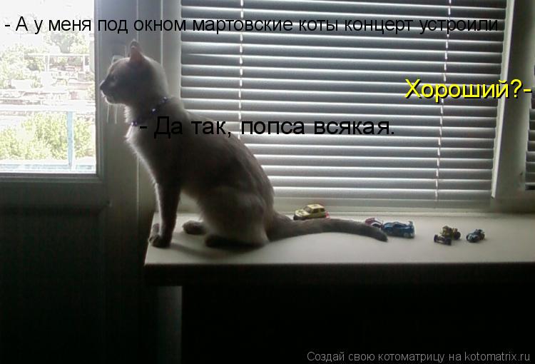 - А у меня под окном мартовские коты концерт устроили Хороший?- - Да так, попса всякая.... Котоматрица: - А у меня под окном мартовские коты концерт устроили Хороший?- - Да так, попса всякая.