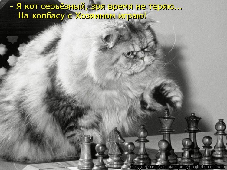Котоматрица: - Я кот серьёзный, зря время не теряю... На колбасу с Хозяином играю!