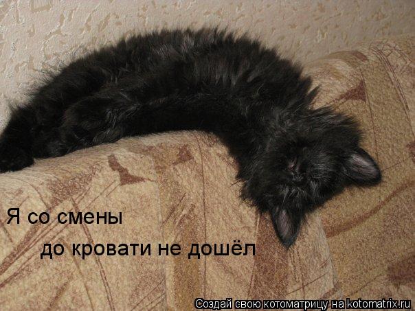 Я со смены до кровати не дошёл... Котоматрица: Я со смены до кровати не дошёл