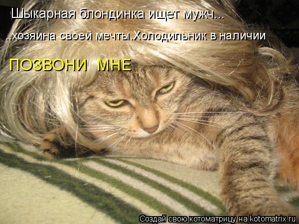 Шыкарная блондинка ищет мужч... ..хозяина своей мечты.Холодильник в наличии ПОЗВОНИ МНЕ... Котоматрица: Шыкарная блондинка ищет мужч... ..хозяина своей мечты.Холодильник в наличии ПОЗВОНИ МНЕ
