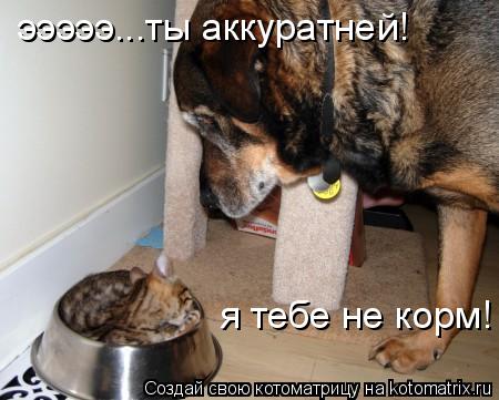 эээээ...ты аккуратней! я тебе не корм!... Котоматрица: эээээ...ты аккуратней! я тебе не корм!