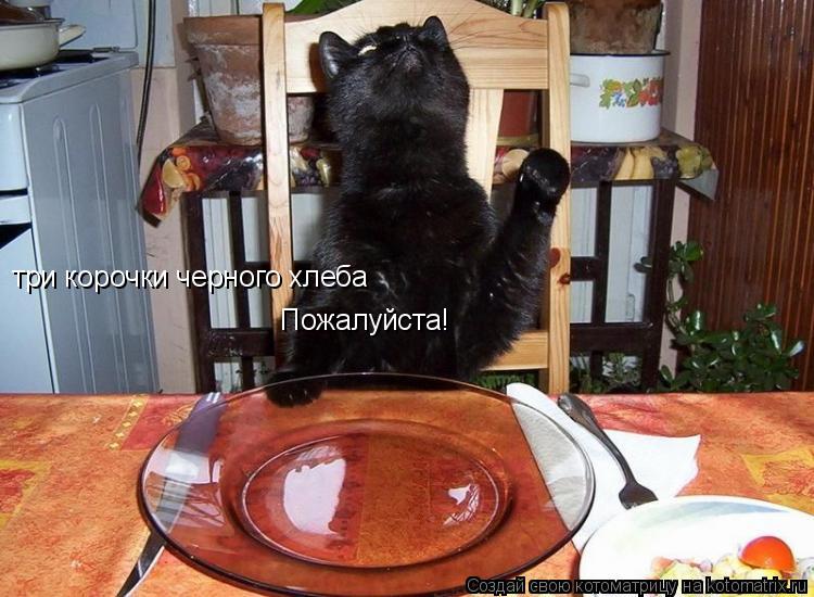 три корочки черного хлеба Пожалуйста!... Котоматрица: три корочки черного хлеба Пожалуйста!