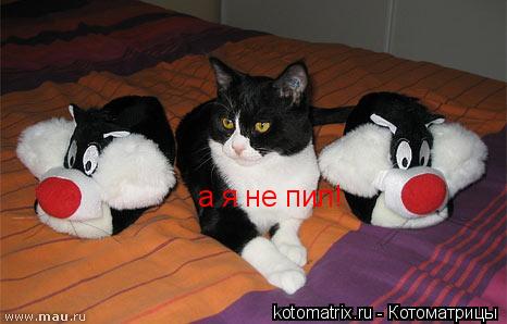 а я не пил!... Котоматрица: а я не пил!