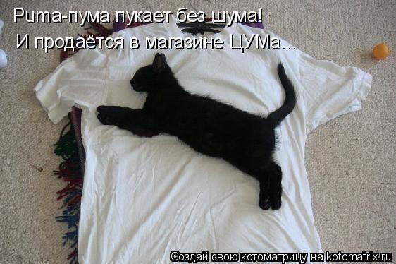 Puma-пума пукает без шума! И продаётся в магазине ЦУМа...... Котоматрица: Puma-пума пукает без шума! И продаётся в магазине ЦУМа...