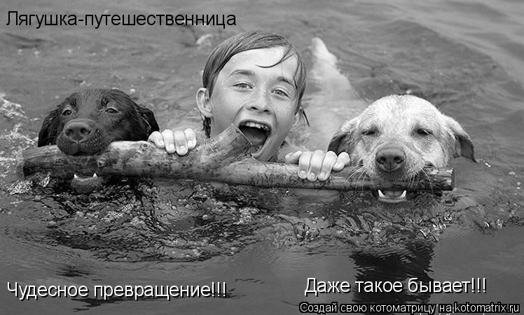 Лягушка-путешественница Чудесное превращение!!! Даже такое бывает!!!... Котоматрица: Лягушка-путешественница Чудесное превращение!!! Даже такое бывает!!!