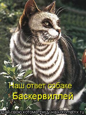 Наш ответ собаке Баскервиллей... Котоматрица: Наш ответ собаке Баскервиллей