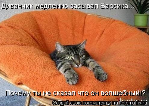 Почему ты не сказал что он волшебный!? Диванчик медленно засывал Барсика...... Котоматрица: Почему ты не сказал что он волшебный!? Диванчик медленно засывал Барсика...