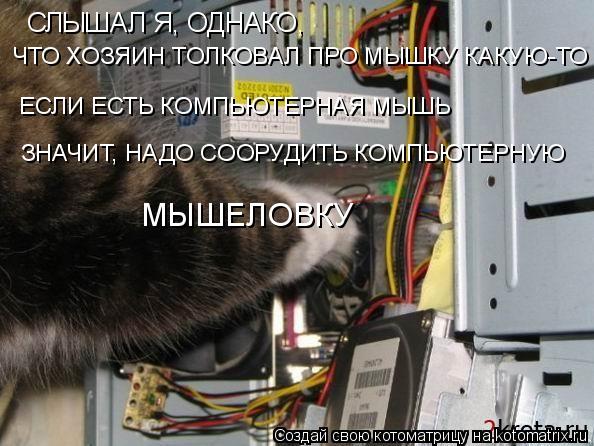 СЛЫШАЛ Я, ОДНАКО, ЧТО ХОЗЯИН ТОЛКОВАЛ ПРО МЫШКУ КАКУЮ-ТО ЕСЛИ ЕСТЬ КОМПЬЮТЕРНАЯ МЫШЬ ЗНАЧИТ, НАДО СОО... Котоматрица: СЛЫШАЛ Я, ОДНАКО, ЧТО ХОЗЯИН ТОЛКОВАЛ ПРО МЫШКУ КАКУЮ-ТО ЕСЛИ ЕСТЬ КОМПЬЮТЕРНАЯ МЫШЬ ЗНАЧИТ, НАДО СООРУДИТЬ КОМПЬЮТЕРНУЮ МЫШЕЛОВКУ