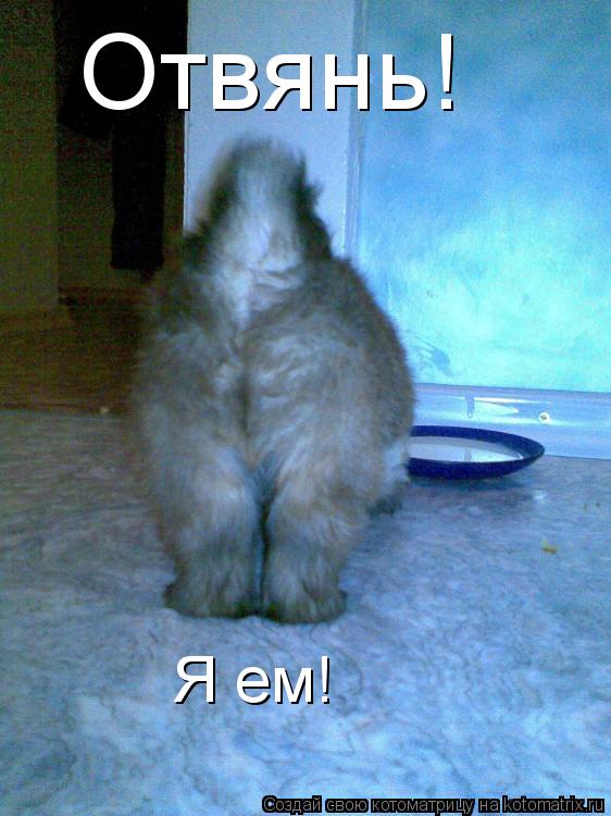 Отвянь! Я ем!... Котоматрица: Отвянь! Я ем!
