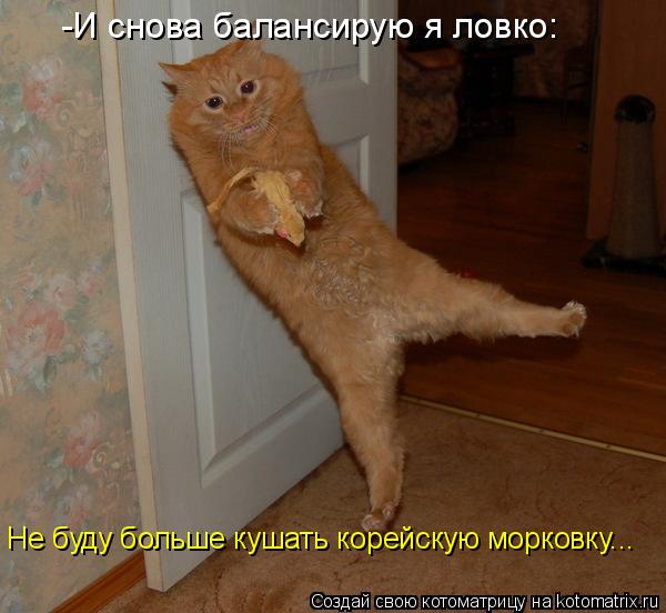 -И снова балансирую я ловко: Не буду больше кушать корейскую морковку...... Котоматрица: -И снова балансирую я ловко: Не буду больше кушать корейскую морковку...