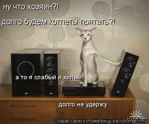 ну что хозяин?! долго будем котлеты прятать?! а то я слабый и хилый долго не удержу... Котоматрица: ну что хозяин?! долго будем котлеты прятать?! а то я слабый и хилый долго не удержу