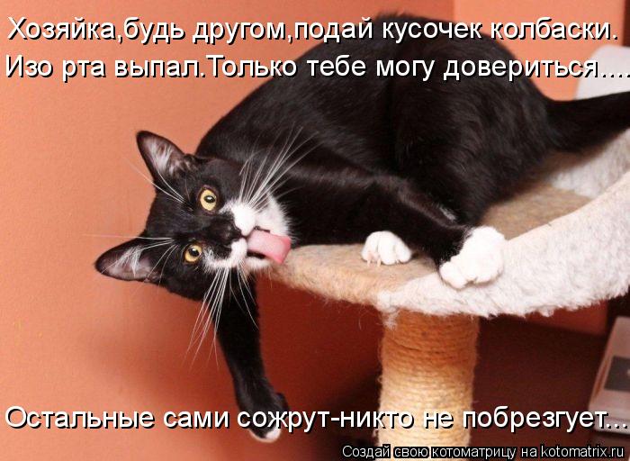 Хозяйка,будь другом,подай кусочек колбаски. Изо рта выпал.Только тебе могу довериться.... Остальные с... Котоматрица: Хозяйка,будь другом,подай кусочек колбаски. Изо рта выпал.Только тебе могу довериться.... Остальные сами сожрут-никто не побрезгует...