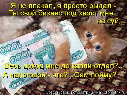 Я не плакал, я просто рыдал - Ты свой бизнес под хвост мне не суй... Весь доход мне до капли отдал?.... Котоматрица: Я не плакал, я просто рыдал - Ты свой бизнес под хвост мне не суй... Весь доход мне до капли отдал?.. А налоговой - что?.. Сам пойму?