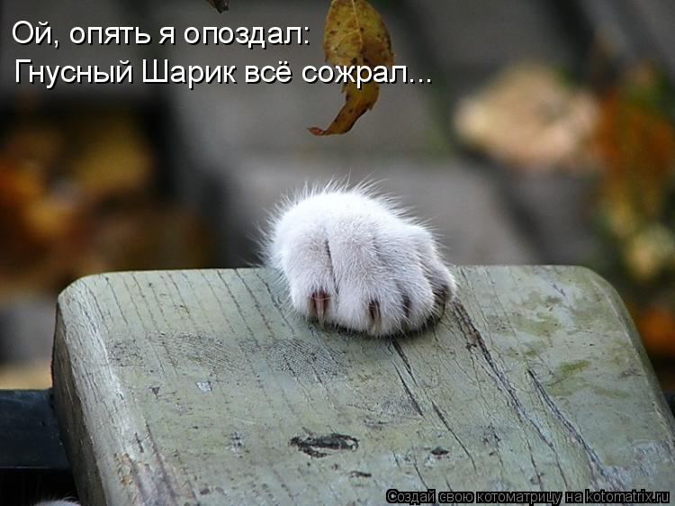 Ой, опять я опоздал: Гнусный Шарик всё сожрал...... Котоматрица: Ой, опять я опоздал: Гнусный Шарик всё сожрал...