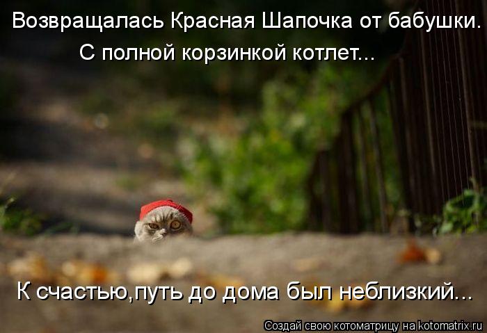 К счастью,путь до дома был неблизкий... Возвращалась Красная Шапочка от бабушки. С полной корзинкой к... Котоматрица: К счастью,путь до дома был неблизкий... Возвращалась Красная Шапочка от бабушки. С полной корзинкой котлет...