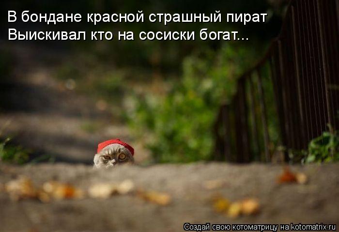 В бондане красной страшный пират Выискивал кто на сосиски богат...... Котоматрица: В бондане красной страшный пират Выискивал кто на сосиски богат...