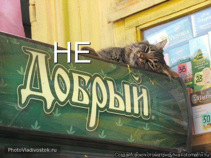 НЕ... Котоматрица: НЕ