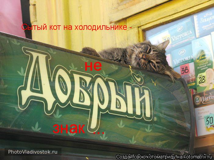 Сытый кот на холодильнике - не знак ...... Котоматрица: Сытый кот на холодильнике - не знак ...